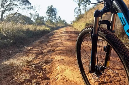 A low shot of a mountain bikes tyre and the dirt trail ahead.